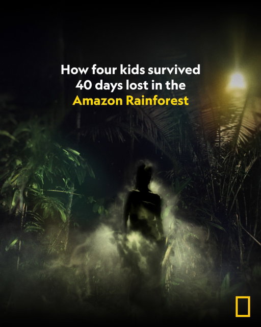 The true story of four children who survived 40 days and 40 nights stranded in the Colombian rainforest. The siblings recount what happened in #LostInTheJungle, now streaming on @disneyplus and @hulu.