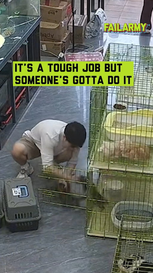 If you think your job sucks, just remember: you're probably right 🐱
#NationalKittenDay #kittens #securitycamera #workfails #failarmy