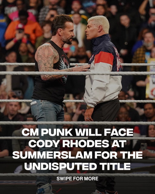 Cm Punk Vs Cody Rhodes for the WWE Undisputed Championship

📸: Getty