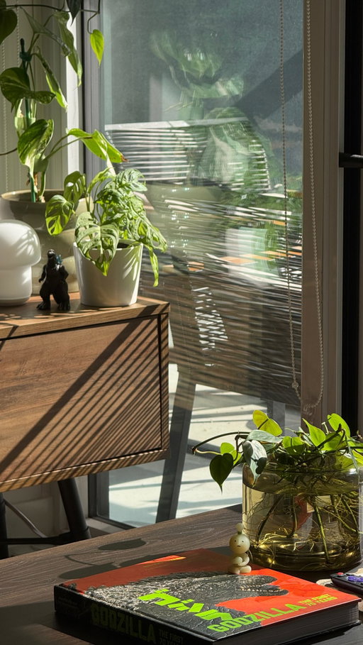What a beautiful Saturday morning😌

#decor #homedecor #cozyhome #interiordesign #houseplant 

decor, homedecor, interiordesign, interiorstyling, cozy, cozyhome, homeinspo, organicmodern, plants, houseplants, myhome, instahome, boyapartment, apartment, ambientlighting, ambient, cozyhomes, aesthetichome, design, lifestyle, boyloft, loft, renterfriendly, smiski, betta, betta fish, small apartment, small home, city apartment, boy home