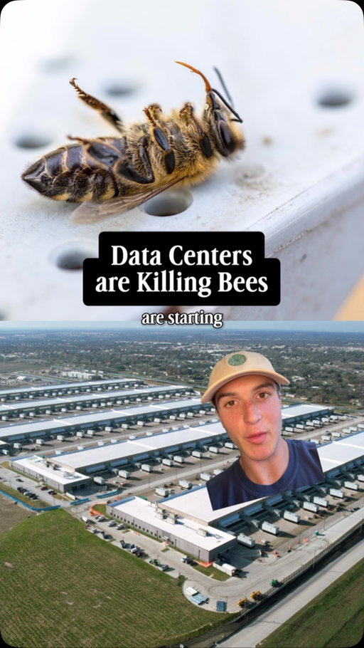 Farmers are reporting that data centers are killing their bees.