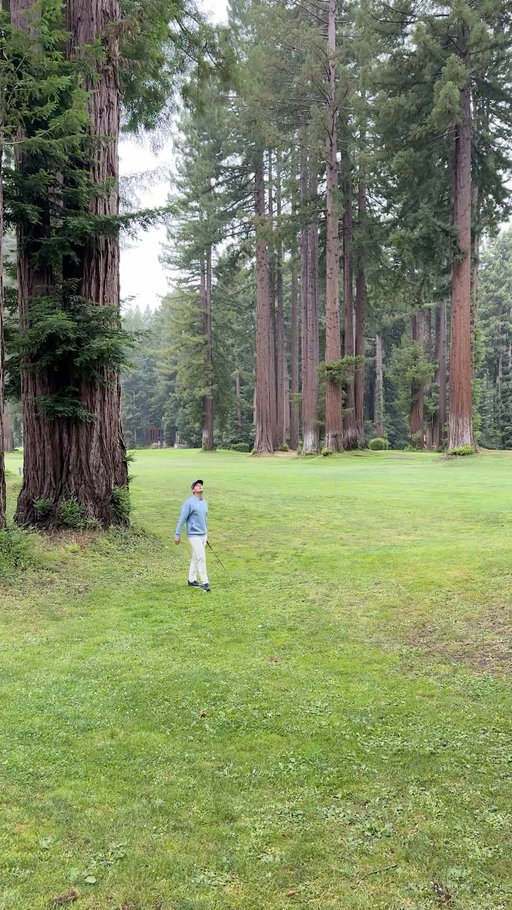 How is this place real…