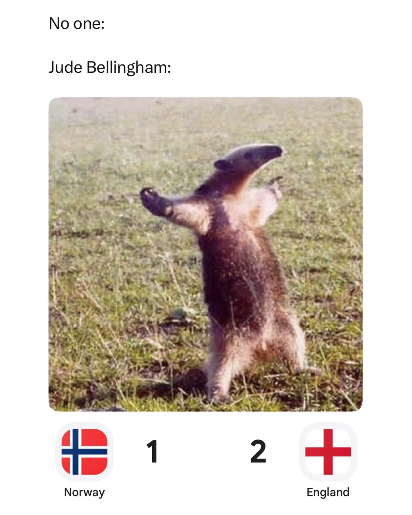 Jude Bellingham is physically incapable of acting normal 😭

Every tournament needs one player who treats every tackle, celebration, argument, and whistle like it’s the final scene of an Oscar-winning movie. Jude somehow manages to turn the simplest moment on the pitch into a pose that belongs on a Renaissance painting.

At this point you could pause any England match at a random second and there’s a good chance Jude is somewhere in the background looking like he’s starring in his own documentary.