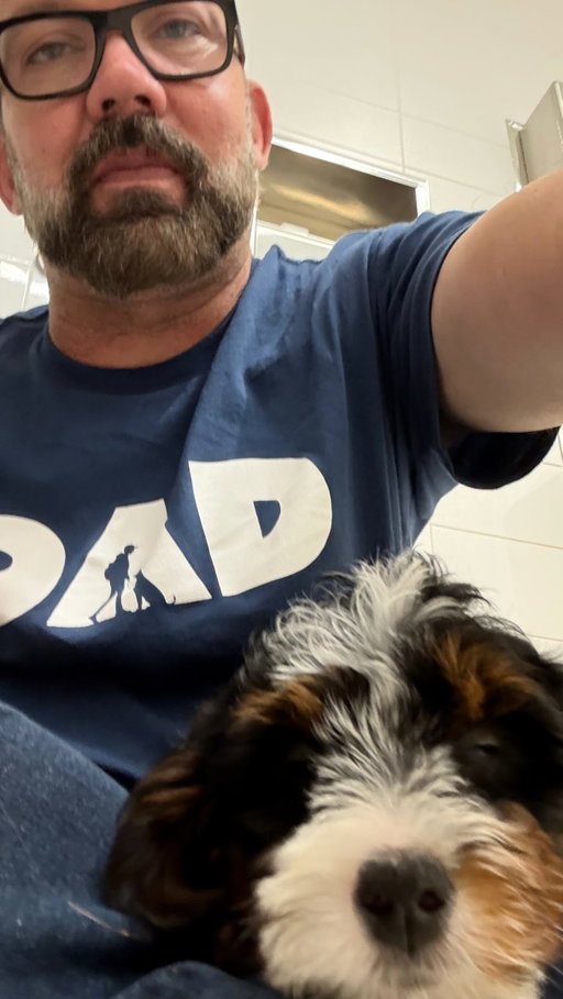 Yesterday was my first day with my sweet little Bernedoodle. I decided to name her Gracie after picking her up at the Airport and bring her home. She’s just the right amount of energy and playfulness. I’ve had my last dog for 20 years. his name was Chopper, and it was a difficult decision to decide to get a new puppy. I fell in love with  the little girl immediately. Bernedoodles are super smart and emotionally intelligent along with being cuddly, but not constantly in your face. She seems to be just the right amount, and lives up to her Pedigree.