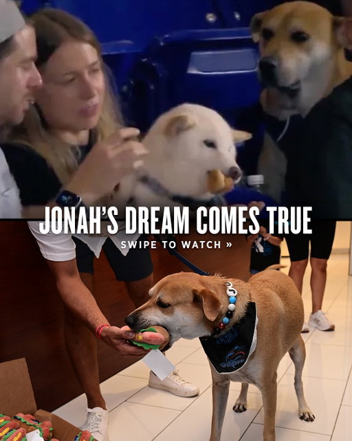 What started as a search for a very good boy ended in Jonah’s (and our) Dream Day! 🥹🐾🌭

What started as a search for a very good boy ended in Jonah’s (and our) Dream Day! 🥹🐾🌭

What started as a search for a very good boy ended in Jonah’s (and our) Dream Day! 🥹🐾🌭

Special thank you to our partners & donors who provided so many goodies for @jonahthecunucu 🌭🐕
@loandepot 
@greenies 
@budweiser 
@raisingcanes 
@chewy 
@drinksuncruiser

What started as a search for a very good boy ended in Jonah’s (and our) Dream Day! 🥹🐾🌭

What started as a search for a very good boy ended in Jonah’s (and our) Dream Day! 🥹🐾🌭

What started as a search for a very good boy ended in Jonah’s (and our) Dream Day! 🥹🐾🌭

What started as a search for a very good boy ended in Jonah’s (and our) Dream Day! 🥹🐾🌭

What started as a search for a very good boy ended in Jonah’s (and our) Dream Day! 🥹🐾🌭

What started as a search for a very good boy ended in Jonah’s (and our) Dream Day! 🥹🐾🌭