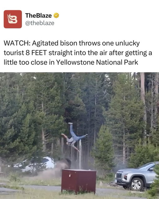 Be careful if you are ever visiting Yellowstone, folks!