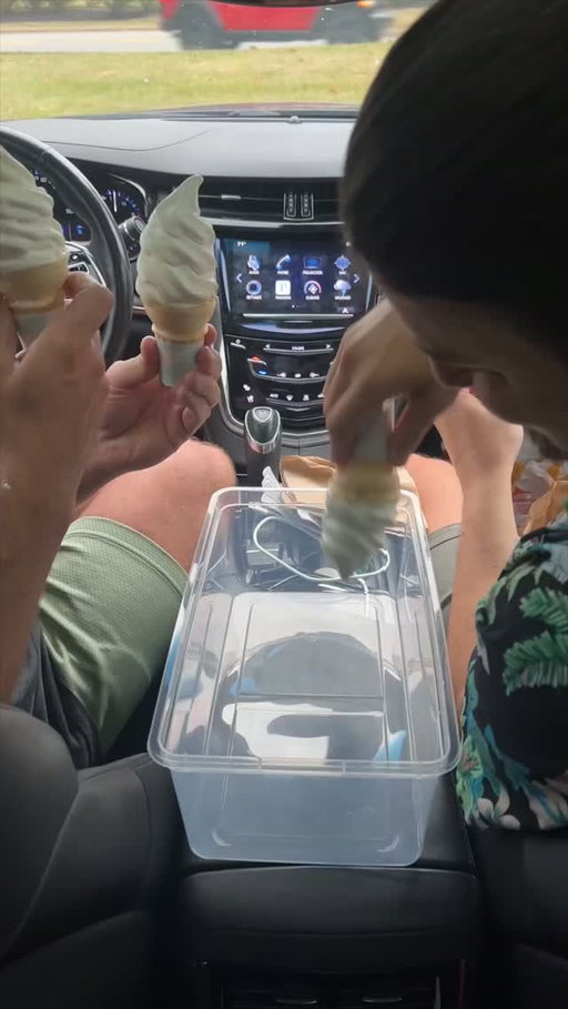 Food Dudes try the viral sensation, McDonald’s ice cream hack #viralrecipe #tiktokviral #foodhacks