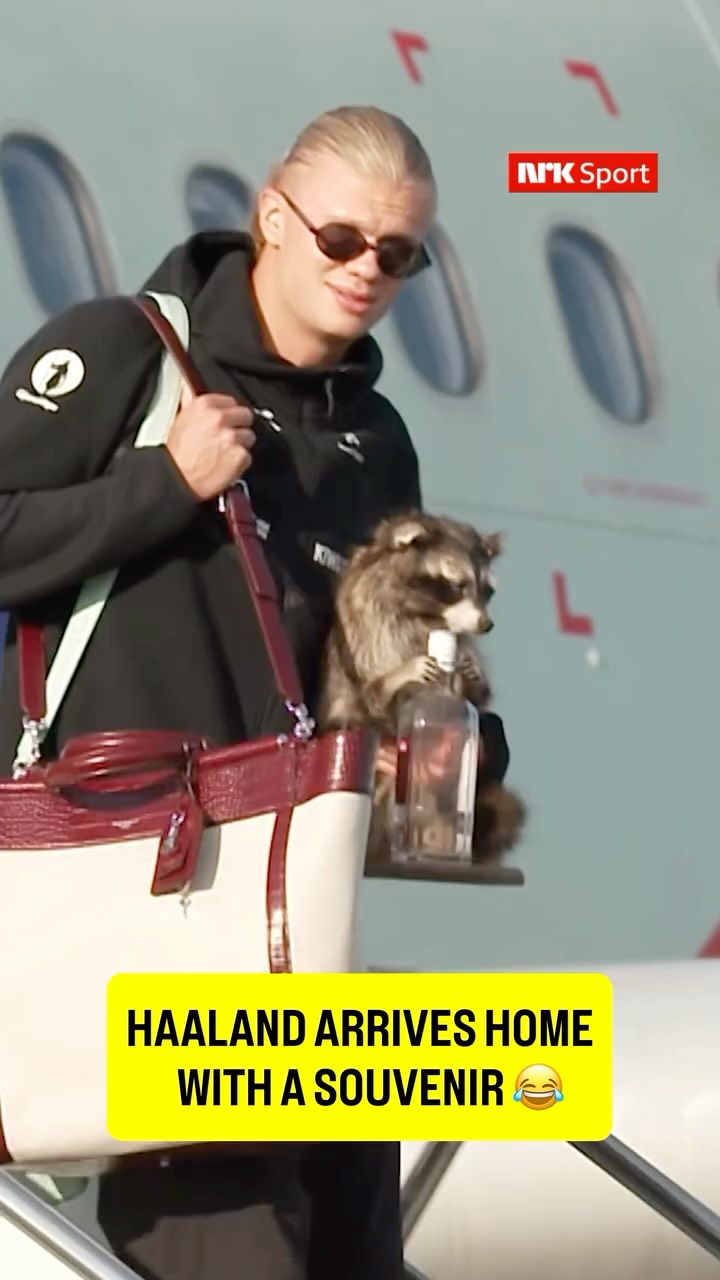 Erling Haaland returned to Norway with a fake raccoon holding a bottle, which he bought in Texas 😂

🎥 @nrksport