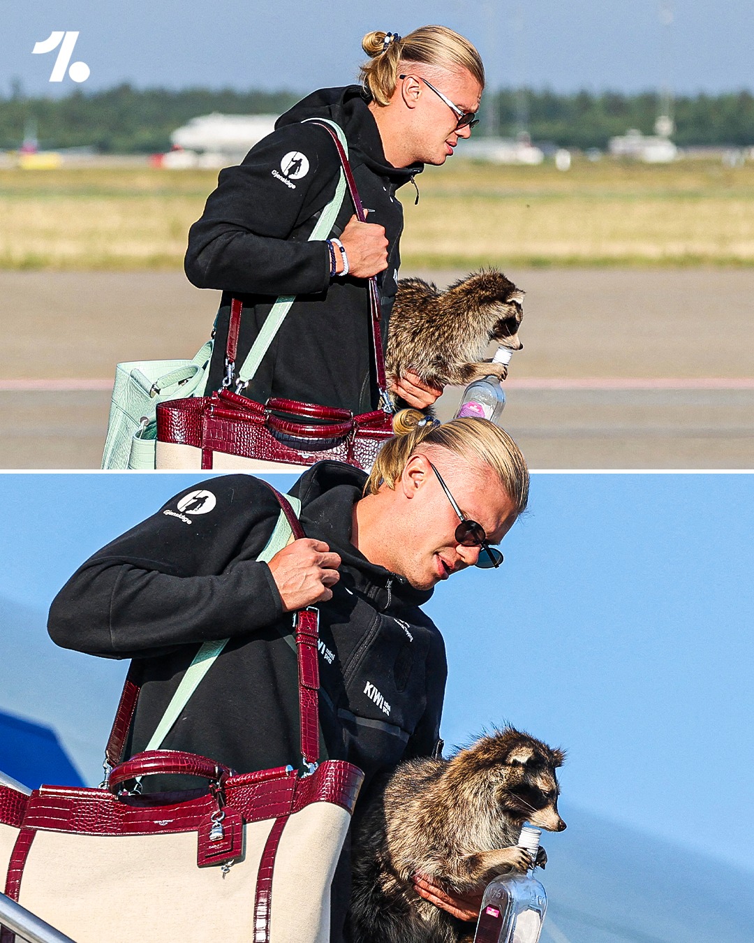 Never change, Haaland ❤️

Erling Haaland returned to Norway with a taxidermy raccoon in hand 🤣🇳🇴