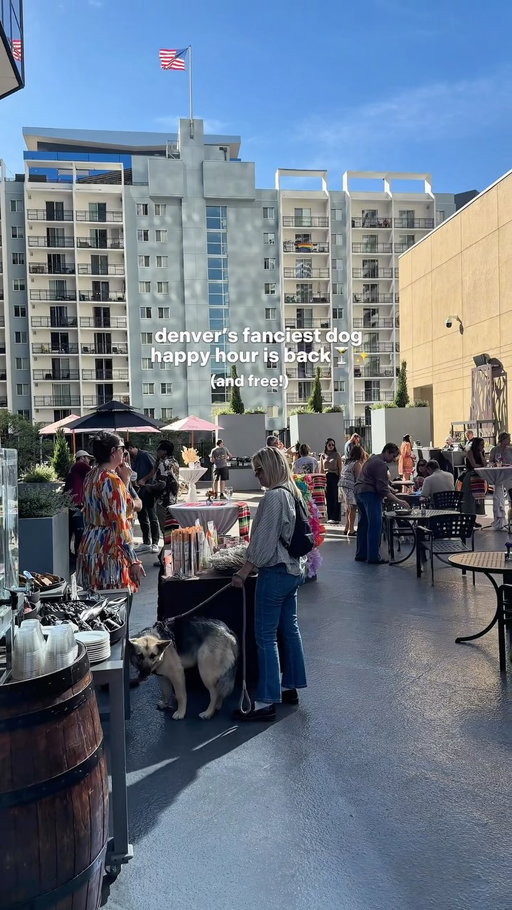 calling all boujee pups + humans! 😎 THIS thursday @ritzcarltondenver rooftop becomes a dog happy hour! Make a dog bandana, meet adoptable dogs, photo-ops + tons more. Free to attend - drinks/food available for purchase. 

🎟️ RVSP to their Eventbrite so they know you’re coming!

#denver #colorado #happyhour
