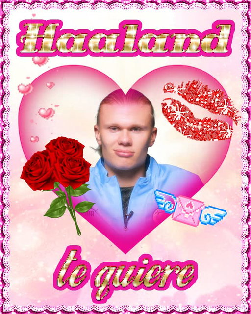 💖💐✨ Erling ✨💐💖 #ManchesterCityLaConquistaDelTripl3te