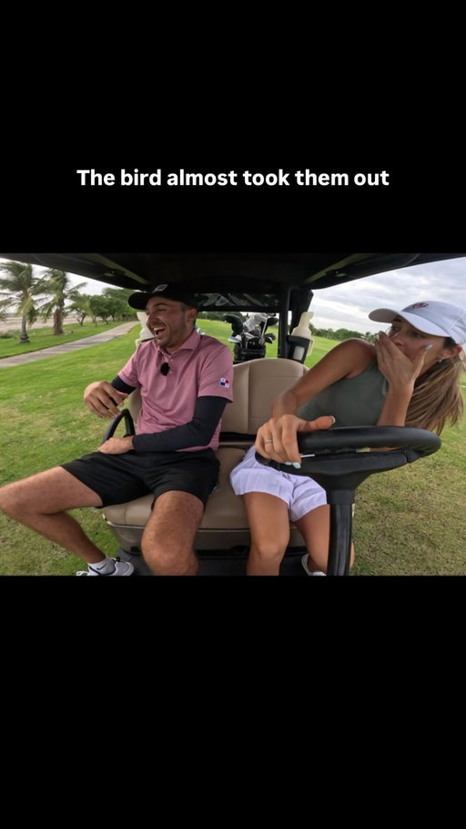 The birds in Panama have no chill #golf #golfcart