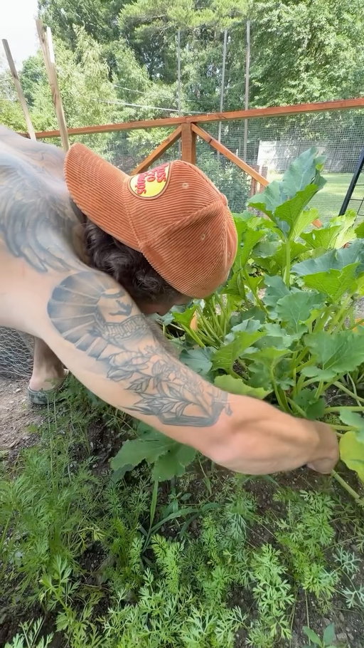 from our backyard to our dinner plate 🥹🌿 our little garden is finally paying off. 

#gardentok #gardentotable #homegrown #Vlog