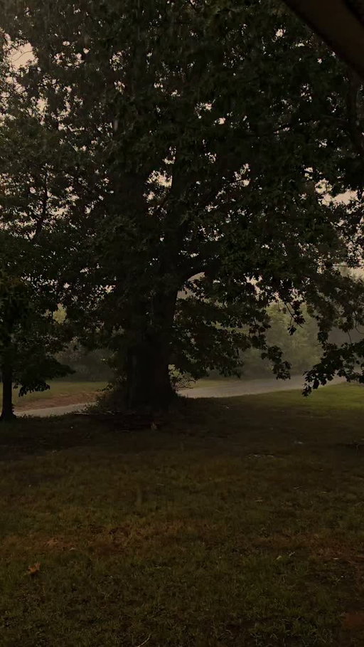 ⛈️📖🌲🕯☕️🍂🐈‍⬛️🪶

#stormyweather #darkandmoody #rainyweather #introvertdiaries ##cozyathome