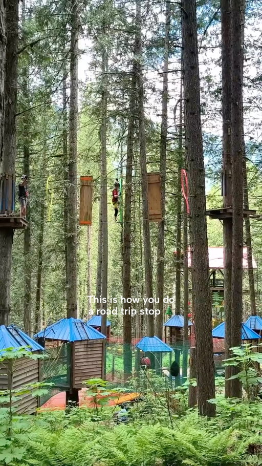 Zip, climb, and wander through the treetops at @skytrekadventurepark. Located on Hwy 1 between Revelstoke and Sicamous, it’s a must-stop outdoor adventure for all ages.

Credit: @skytrekadventurepark 

#exploreBC #BirthplaceOfAdventure