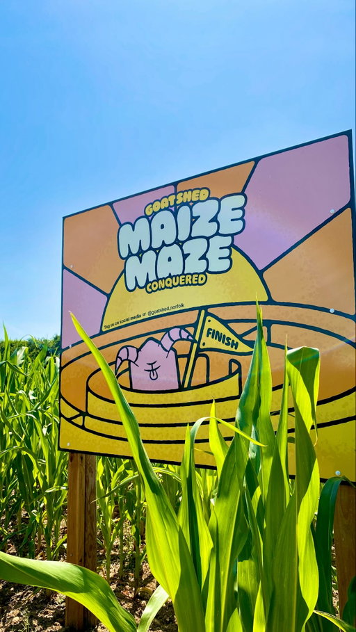🤫 Sneak peek...

The countdown is on! Our Maize Maze opens Friday 17th July, just in time for the summer holidays. 🌽🏁

🎟️ Tickets are on sale now, click the link in our bio!

#goatshed #norfolk #maizemaze #norwich #summerholidays