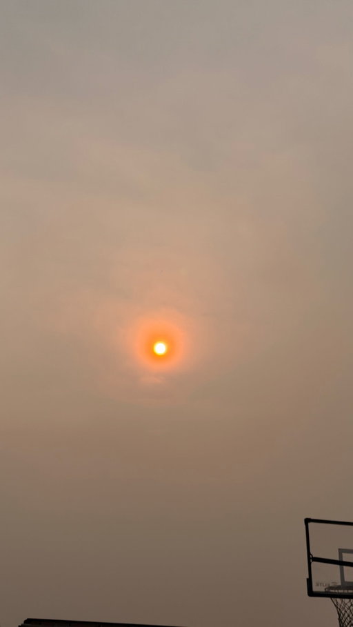 this summer sucks 🫠 we look SO forward to summer after our long winters and we can’t even enjoy it!! It’s been nearly impossible to go outside with a toddler.

I know things are much worse in Canada. Sending love to the peoples and animals there, and hoping this gets resolved soon ❤️‍🩹 🌲 🦌 

 #michigan #wildfires #climatecrisis #Cyclosporiasis #michiganders
