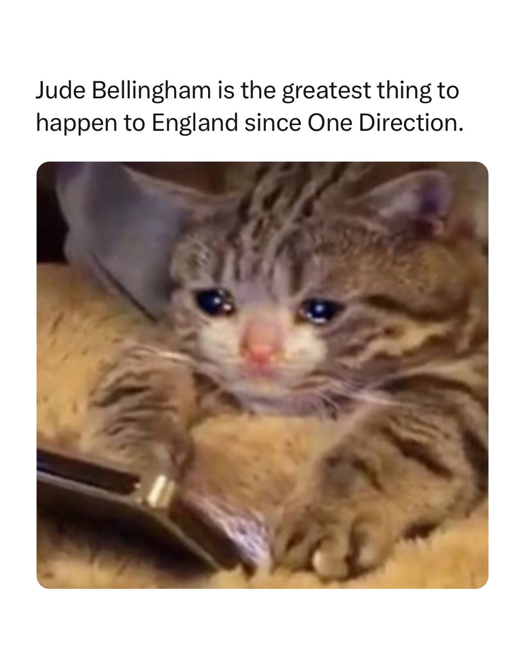 Ranking a midfielder above every English export except One Direction is a bold but fair claim 😭

This is the emotional crying cat clutching a phone, the face of every England fan getting sentimental over Jude Bellingham. The bar being set at One Direction is honestly the highest praise a nation of pop and football obsessives can offer, and after the run he just gave them, people mean it.

The crying cat energy is extra fitting tonight after England fell in the semifinal, because that's exactly how the whole country feels right now. Heartbroken, emotional, and yet somehow still typing paragraphs about how much they love their boy. Grief and gratitude at the same time, which is peak England fan behavior.