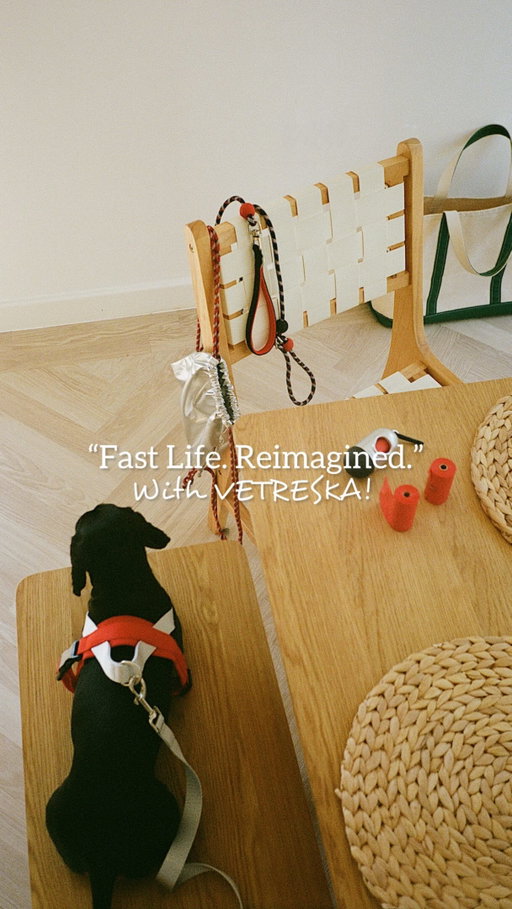 AD| “Fast Life. Reimagined.” - in celebration of the new @vetreska_official Circuit Collection! Summer can often feel busy & chaotic so carving out quality time to slow down and recharge is important... 

For me, that looks like getting outside in nature whenever possible and being present. Having a dog means we are constantly thinking of new places to explore and new locations he might enjoy running around. This particular coastal path was pretty special & the best way to test out his new Vetreska gear! 🏎️🏁🐾

#VETRESKA #VETRESKAAndOllie #FastLifeReimagined #dachshund #dachshundlife