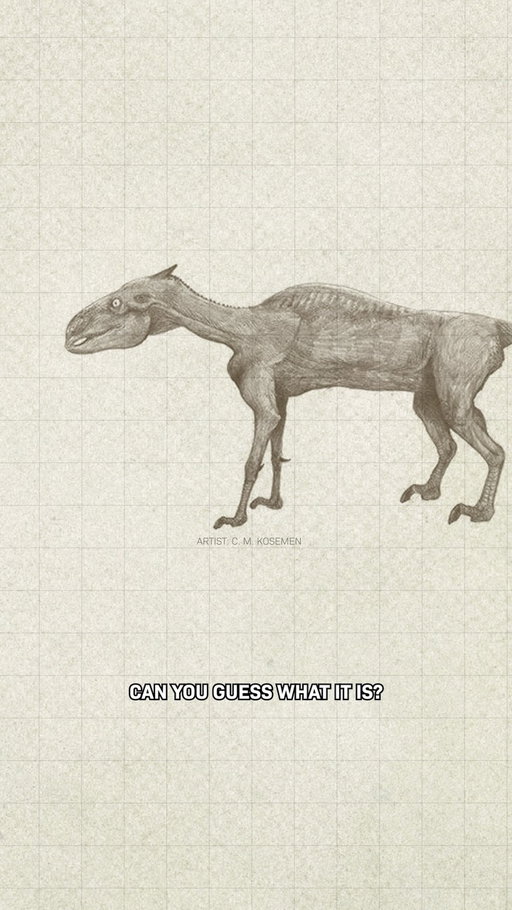 Can you guess this animal?

This is a drawing of a modern animal…. if you drew it the way many early science illustrators drew dinosaurs.

They just drew skin wrapped around bone without muscle, turning this normal animal into a monster. Can you guess what it is?

This is called “shrink wrapping” and it has affected the way a lot of us think about what dinosaurs looked like…

If you want to know more about dinosaurs, watch our longer video and follow along!

 #animation #illustration #dinosaur #science #stemfacts