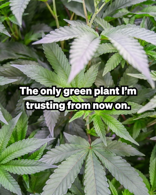 Just to be safe.