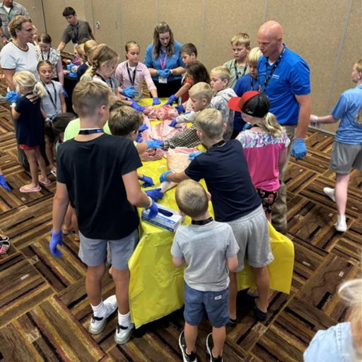 Tomorrow’s industry leaders are gaining valuable exposure to agriculture today. Through the Youth Workshop at the National Pork Industry Conference, Smithfield partnered with the National Pork Board to help elementary and middle school-aged participants learn more about the people, careers and opportunities that shape the industry. As part of the experience, two attendees received $500 awards to encourage continued learning and engagement.