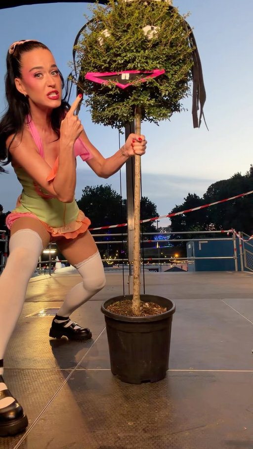 Watch It Burn with Robert 🌳