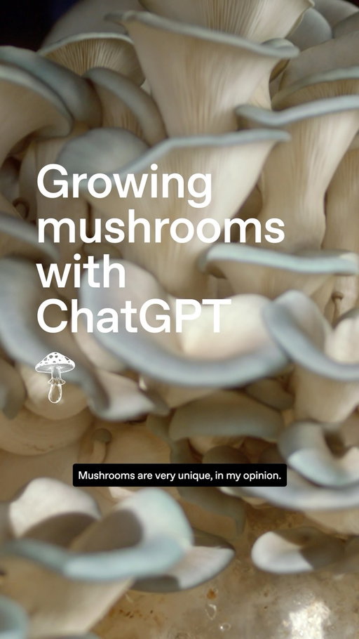 A mushroom grow kit sparked Hunter’s curiosity and grew into @mountain_mushrooms. Now ChatGPT helps him run the business and build custom machines to automate the work behind it.