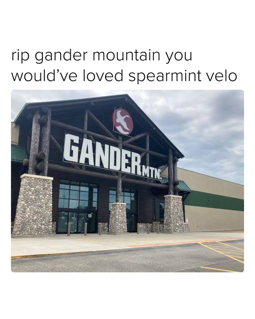 gone but never forgotten