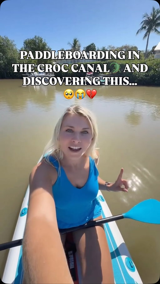They don’t deserve this🥺 Share to raise awareness to protect these big potatoes🥺🫶🩵

#manatees #crocodile #paddleboard #ocean #florida