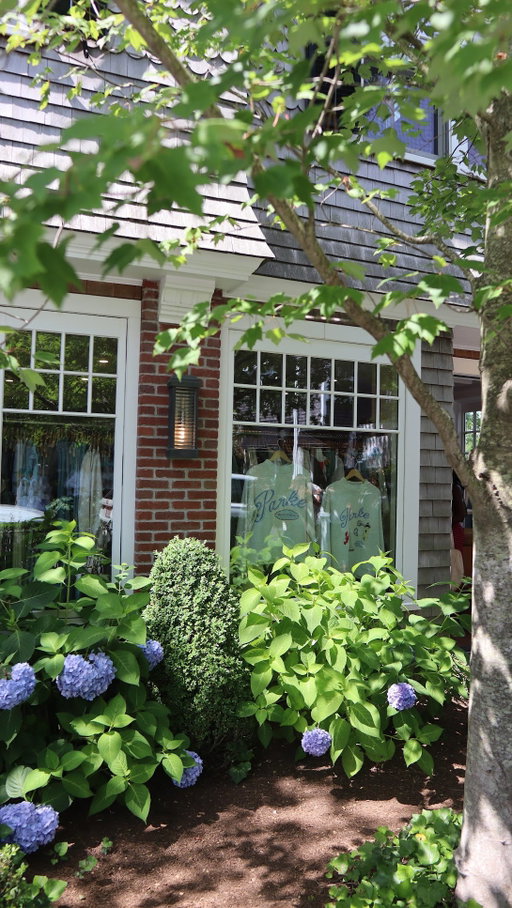Happening now @shopbop @thesydneyhotel 🐟 #marthasvineyard #edgartown #newenglandsummer #bostoninfluencer #shopboppopup