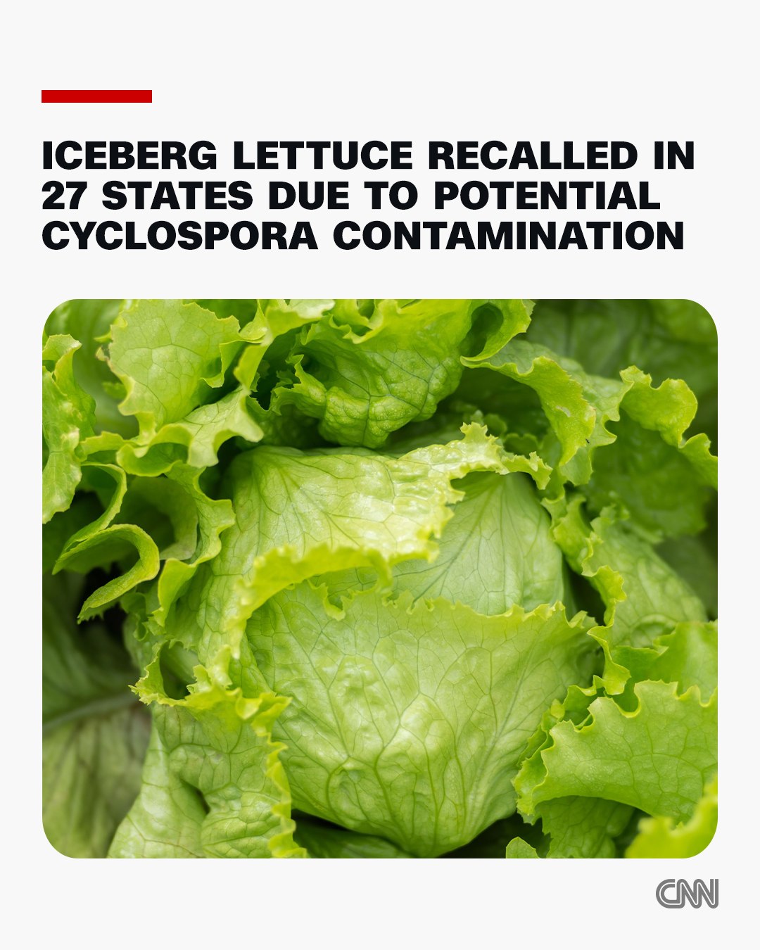Produce supplier Taylor Farms is recalling iceberg lettuce shipped to 27 US states because of potential contamination with cyclospora, the parasite causing thousands of cases of diarrhea across the country.

The company said it's "actively removing" the products, has suspended distribution of iceberg lettuce from Central Mexico to the United States and is no longer receiving products from the implicated lot.

"Consumers who have purchased the recalled iceberg lettuce should discard it immediately and not consume it," the company said.

Read more at the link in our bio.

📷: Svetlana Popova/iStockphoto/Getty Images