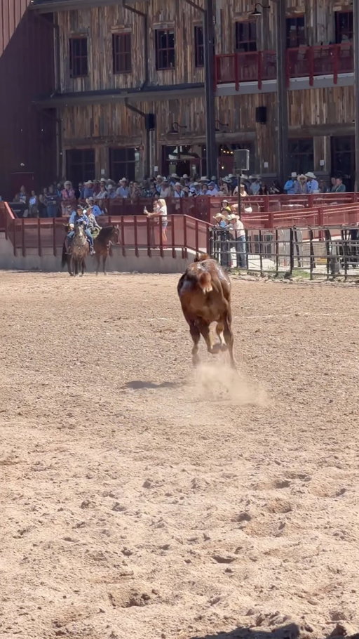 A baby race we love to see! 🐎