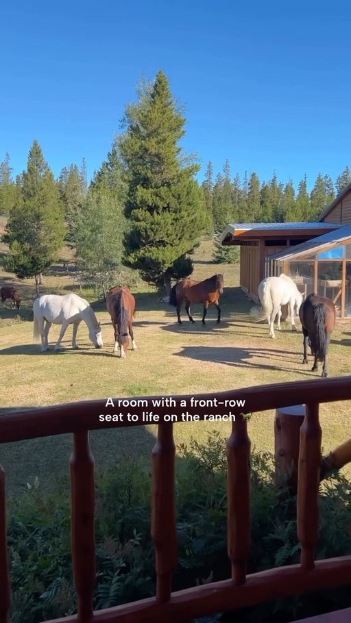 From summer rides to snowy mornings, Big Creek Lodge offers an unforgettable guest ranch experience year-round.

Credit: @bigcreeklodgebc

#exploreBC #NaturesHeartland