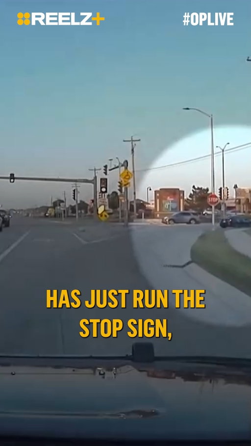 In Pleasant Prairie, Wisconsin, a driver ignored a stop sign and fled from police, escalating into a high-speed pursuit. 🏎️ #OPLive #OPNation #REELZ #REELZPlus reelzplus.com