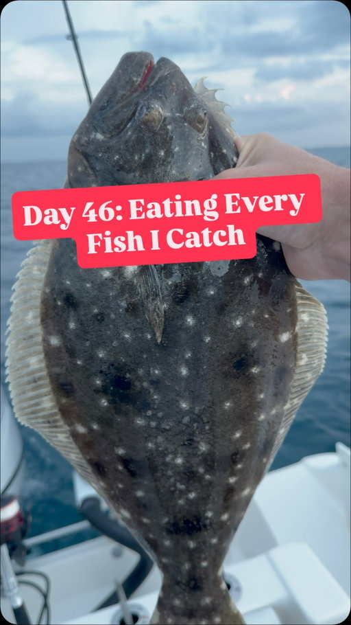 Day 46 of eating every fish I catch #fishing #catchandcook #florida #floridafishing #saltlife