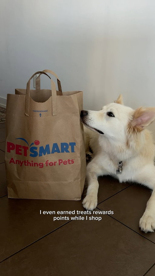 Sunday resets no longer involve just getting me ready for the week ahead, but also Nova. Thankfully, @petsmartcanada made it easy with their Same-Day Delivery available on PetSmart.ca to ensure we’re stocked up on Nova’s essentials! And being a Treats Rewards Loyalty Member helped us earn points & save money! #ad #sundayreset #puppylife #petsmartcanada #anythingforpets