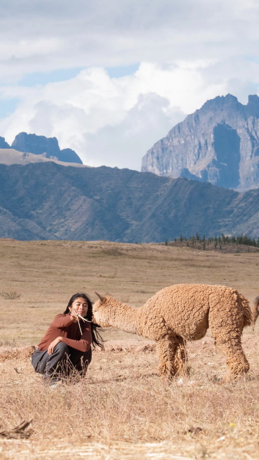 Stayed in a dreamy hotel in the middle of Sacred Valley in an alpaca farm. Definitely a Peru highlight 😍🦙

Booked this experience via @guruexplorers 🇵🇪