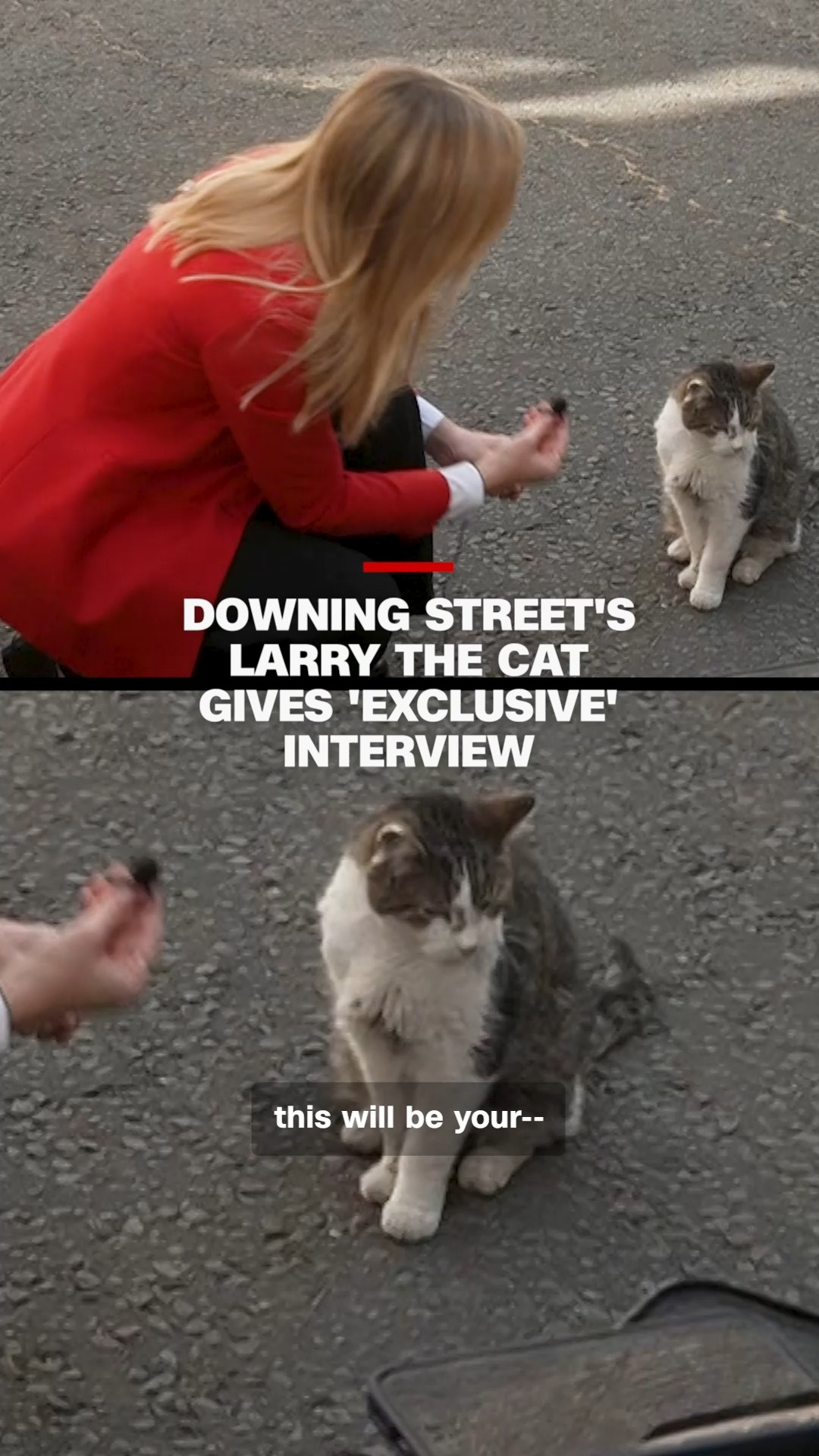 Chief Mouser Larry the Cat was at Downing Street to welcome Andy Burnham, Britain's seventh prime minister in a decade. CNN's @annastewartcnn managed to get a few moments with the 19-year-old famous feline.
