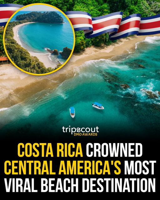 Costa Rica has been crowned Central America’s Most Viral Beach Destination! 🇨🇷🏝️ 

Known for its breathtaking Pacific and Caribbean coastlines, Costa Rica continues to captivate travelers with its golden beaches, lush rainforests, world-class surfing, and incredible wildlife. From the white sands of Manuel Antonio to the surf paradise of Santa Teresa and Tamarindo, the country offers unforgettable coastal experiences for every kind of traveler.

With its perfect blend of adventure, biodiversity, and natural beauty, it’s no surprise Costa Rica has become one of the region’s most talked-about beach destinations on social media.

📍Which Costa Rican beach would you love to visit first?

@visit_costarica