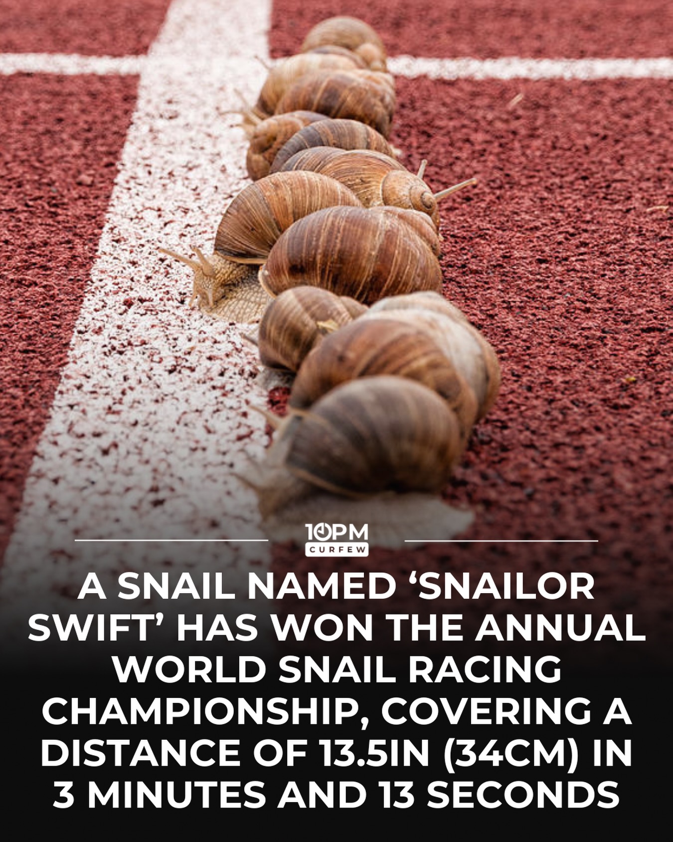 The annual World Snail Racing Championship has been held in Norfolk, England, since the 1960s, where snails compete to crawl the fastest across a 13.5-inch (34 cm) circular course.

This year’s champion, Snailor Swift, crossed the finish line in 3 minutes and 13 seconds, earning the title of the world’s fastest snail of 2026. While nowhere near the all-time course record of 2 minutes, the tiny racer still beat dozens of competitors to take home the crown.

Sources: Reuters, World Snail Racing Championship, Guinness World Records