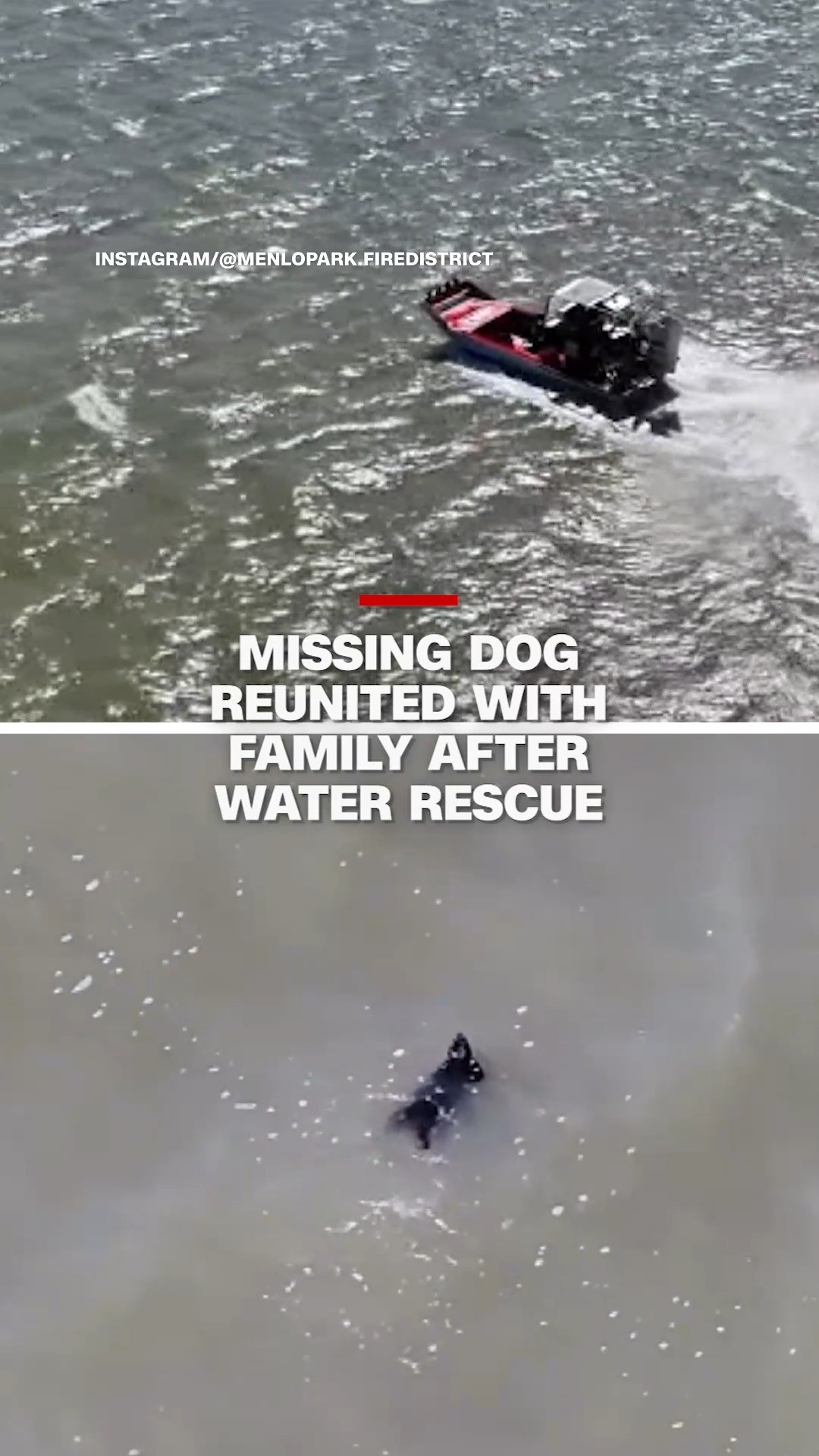 A dog missing for weeks is back home with his owners after a successful rescue from San Francisco Bay by Menlo Park Fire.