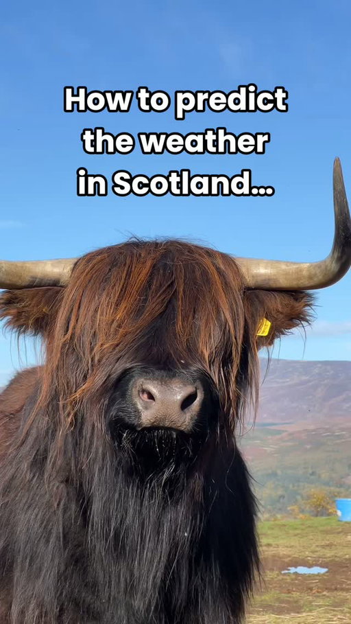 Meet Scotland's forecasting tool: the Coo-ometer! 🐮🌡️ We hope this wee guide helps you figure out what our Scottish weather is up to 🤭👇

🌥️ Coo is dry: It's not raining
❄️ Coo is white: It's snowing
☔ Coo is soggy: It's raining
☀️ Coo is warm: It's sunny
💨 Coo is scruffy: It's windy
🧣 Coo is wrapped up: It's cold

#Coosday #Scotland #VisitScotland #HighlandCow