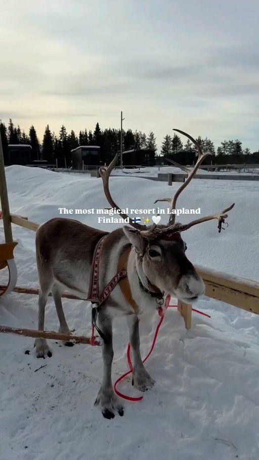 The most magical resort in 📍Lapland, Finland 🇫🇮

📍Jänkä Resort
Konijänkäntie 1, 95970 Äkäslompolo, Finland

Planning a winter escape to Lapland?  @jankaresort has you completely covered. While things like reindeer tours, husky sledding, and dining are available as easy add-one, you honestly never have to leave the property.

The resort is wonderfully intimate, featuring a limited collection of luxury cabins built with massive panoramic windows. It literally feels like you and the snowy landscape are intertwined as one giving you the ultimate front row seat to the northern lights right from your bed.

Nightly Rate: $248 
Inside, you get gorgeous modern finishes paired with warm wood tones from the Lappish landscape, complete with a full kitchen, living area, and your very own private indoor sauna and Jacuzzi.

If you want a cozy winter refuge where you can just hunker down and soak it all in, definitely check them out!

Cheers bbs 

Lapland Finland / Finland Guide / Northern Lights 
#finland #laplandfinland #travel #nature #photography