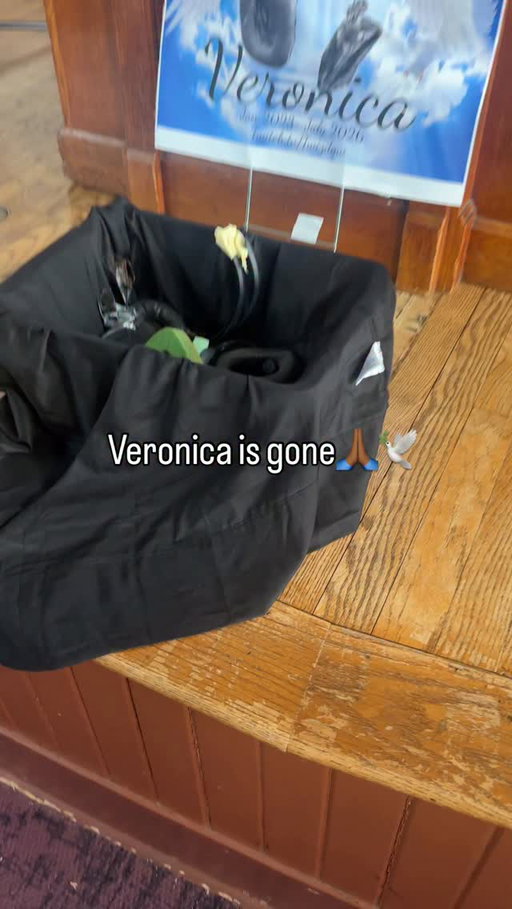 She’s gone🕊️🧡 #LLV