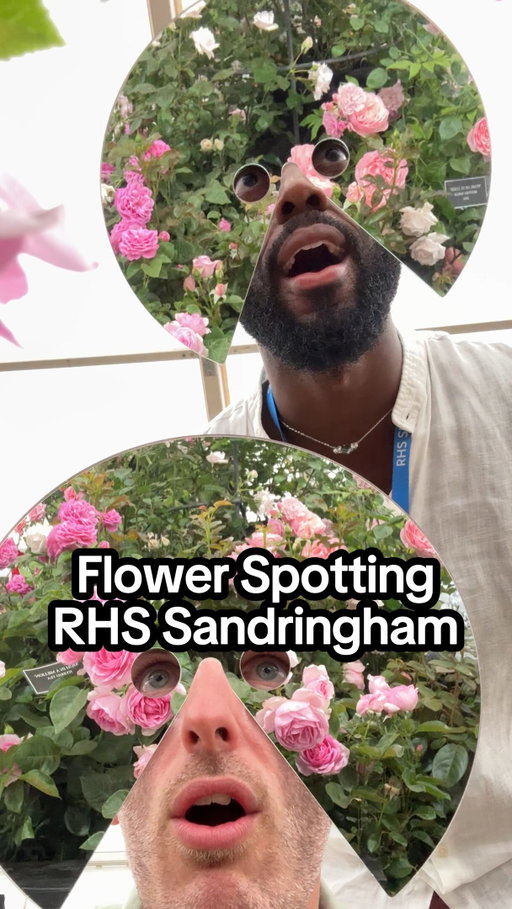 Flower spotting at RHS Sandringham using our @freddieyauner masks. The floral marquee was a sea of amazing colours 🪩 🌹 🌊