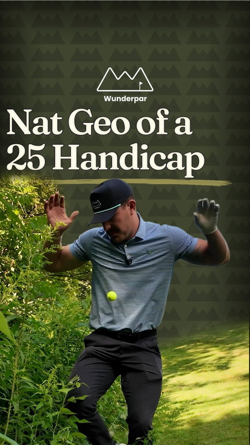 National Geographic: The Miserable Life of a 25 Handicap Golfer 

His existance is remarkable, but a scavenger will always scavenge