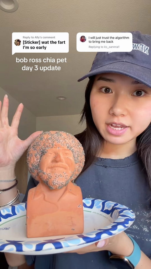 bob moss day 3 IS HERE