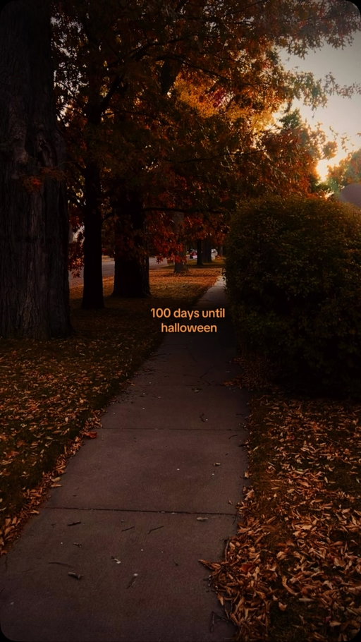 happy 100 days until halloween 🎃
•
this is my second most favorite day is the year - feels like the countdown really starts today! 
•
•
•
•
#halloweencountdown #halloweentok #halloweenaesthetic #cozyhalloween #halloween2026