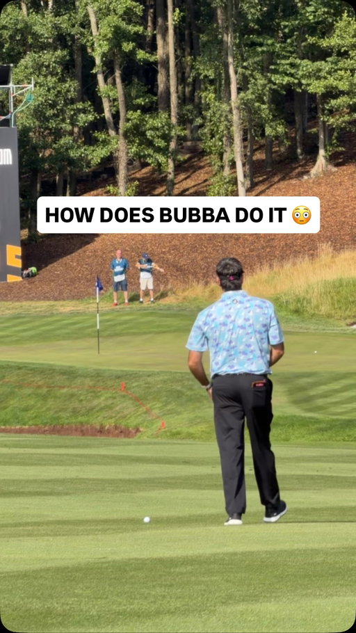 Bubba’s pinseeking today 🐐